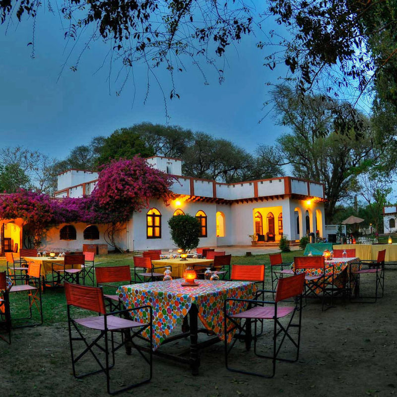 The Chambal Safari Lodge