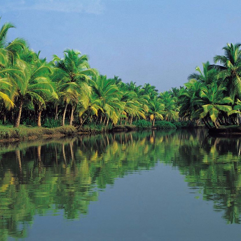 Alleppey