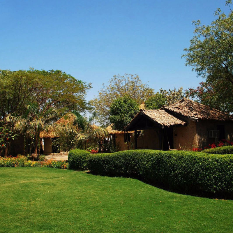 Rann Riders Safari Resort